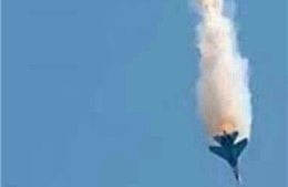 Phiến quân Syria bắn hạ máy bay quân chính phủ 