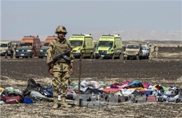 Nhận dạng được 58 nạn nhân máy bay rơi tại Ai Cập