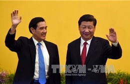 Ông Tập Cận Bình: Trung Quốc và Đài Loan là “một gia đình”