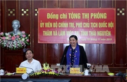 Phó Chủ tịch Quốc hội Tòng Thị Phóng thăm Thái Nguyên