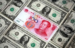Những nghi ngờ về dự trữ ngoại tệ của Trung Quốc 