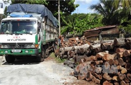 Bắt xe chở gỗ lậu ở Lâm Đồng 