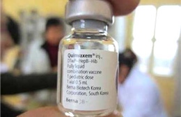 WHO: Quinvaxem là vắc xin an toàn, hiệu quả