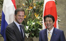 Nhật Bản, Hà Lan cùng quan ngại về căng thẳng ở Biển Đông