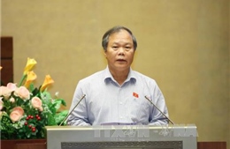 Tán thành quy định trưng cầu ý dân 