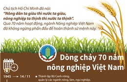 Dòng chảy 70 năm nông nghiệp Việt Nam