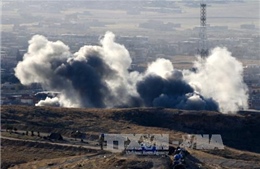 Liên quân phá hủy 116 xe chở nhiên liệu của IS