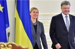 Tự do thương mại EU-Ukraine bắt đầu từ 2016