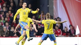 Thụy Điển và Ukraine giành vé cuối đến VCK Euro 2016