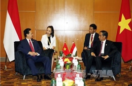 Thủ tướng Nguyễn Tấn Dũng hội kiến Tổng thống Indonesia