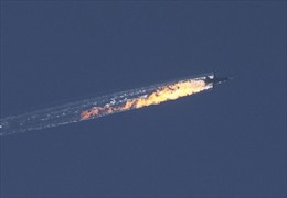 Ông Putin khẳng định Su-24 bị bắn trong lãnh thổ Syria