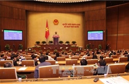 Quốc hội thông qua dự thảo Bộ luật Hình sự (sửa đổi)