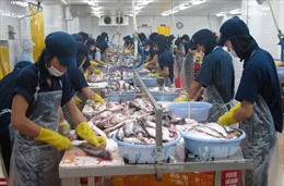 Mỹ áp đặt các quy định mới về cung cấp cá da trơn 