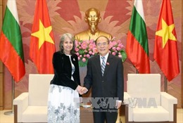 Chủ tịch Quốc hội Nguyễn Sinh Hùng tiếp Phó Tổng thống Bulgaria 