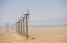 Khánh thành nhà máy điện gió lớn nhất Trung Đông - Bắc Phi 