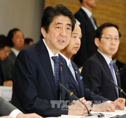 Tỷ lệ ủng hộ Thủ tướng Nhật Bản tăng trở lại 