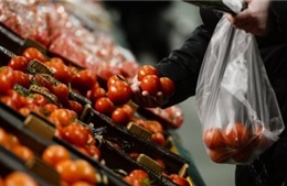 Nga sẽ cấm nhập khẩu nông sản Thổ Nhĩ Kỳ