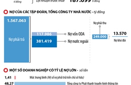 Nợ của các Tập đoàn, Tổng công ty Nhà nước