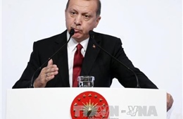 Thổ Nhĩ Kỳ cam kết không trả đũa Nga