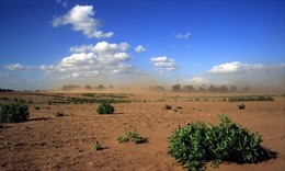 Thế giới mất 33% đất canh tác trong 40 năm qua