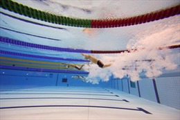 Việt Nam đoạt 4 HCV bơi lội ASEAN Para Games 8