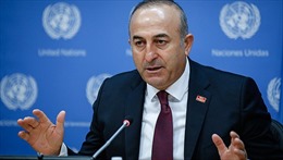 Ngoại trưởng Thổ Nhĩ Kỳ kêu gọi Nga dỡ bỏ trừng phạt kinh tế 