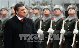 Cựu Tổng thống Ukraine muốn quay lại chính trường