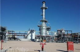Dự án dầu khí Bir Seba - biểu tượng hợp tác Việt Nam-Algeria 