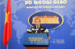 Việt Nam hoan nghênh việc nhất trí thông qua Thỏa thuận Paris