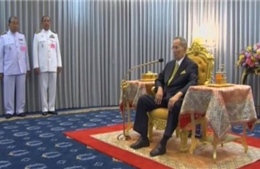 Vua Thái Lan xuất hiện sau nhiều tháng dưỡng bệnh