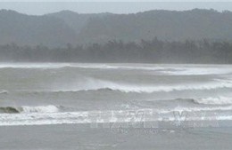 Ảnh hưởng bão Melor, 80 du khách mắc kẹt trên đảo Lý Sơn