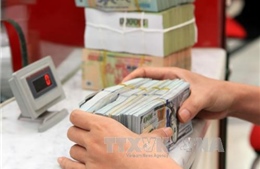 Giá USD vẫn ở mức kịch trần