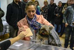Đảng cầm quyền chiến thắng bầu cử Quốc hội Tây Ban Nha