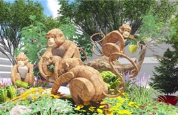 Khai mạc sớm Đường hoa Tết Bính Thân 