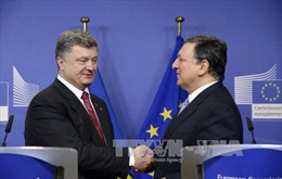 Nga ước tính thiệt hại 3,5 tỷ USD do FTA Ukraine-EU 