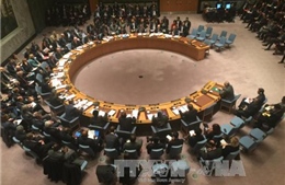 Chính phủ Syria sẵn sàng đối thoại với các nhóm đối lập