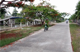 Sức sống mới nơi phum, sóc 