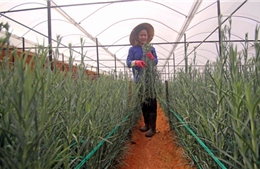 Đơn Dương xây dựng nông thôn mới