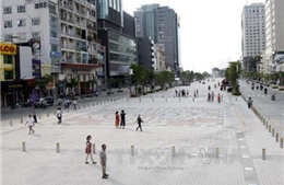 Xây dựng Vườn Sài Gòn trên phố đi bộ Nguyễn Huệ 