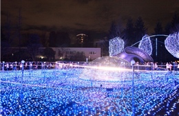 Kỳ ảo lễ hội ánh sáng Tokyo 2015