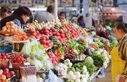 Ukraine đàm phán FTA với Thổ Nhĩ Kỳ và Israel