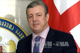 Quốc hội Gruzia phê chuẩn việc chỉ định thủ tướng mới