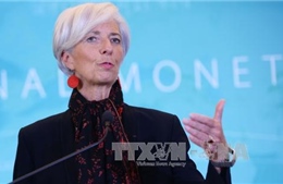Giám đốc IMF: Kinh tế thế giới 2016 sẽ "khá thất vọng"