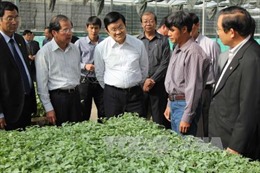 Chủ tịch nước thăm một số mô hình nông nghiệp tại Lâm Đồng