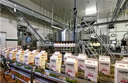 Bơ sữa của Iran được phép vào thị trường Nga 
