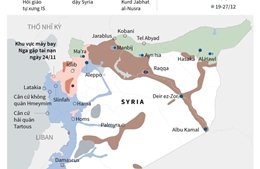 Cập nhật các vụ không kích IS ở Syria