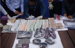Hai người Việt trộm nửa triệu SGD bị cáo buộc nhiều vụ khác