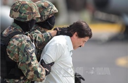 Mexico bắt được trùm ma túy El Chapo