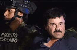 Vụ bắt giữ “El Chapo”: Gay cấn như phim hành động Mỹ