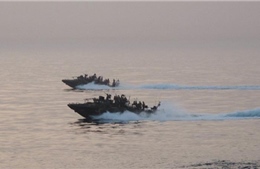 Iran sớm thả hai tàu hải quân Mỹ bị bắt ở vùng Vịnh